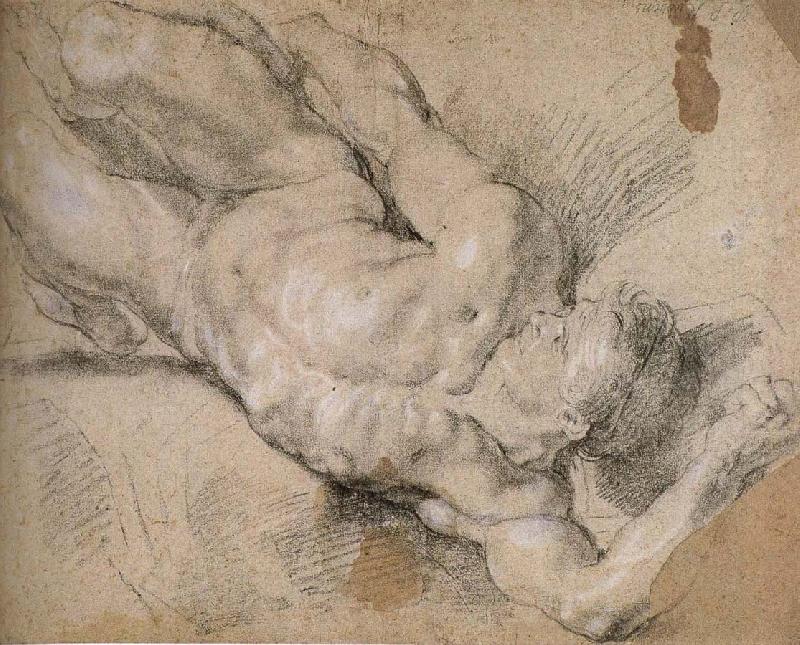 Peter Paul Rubens Nude oil painting image
